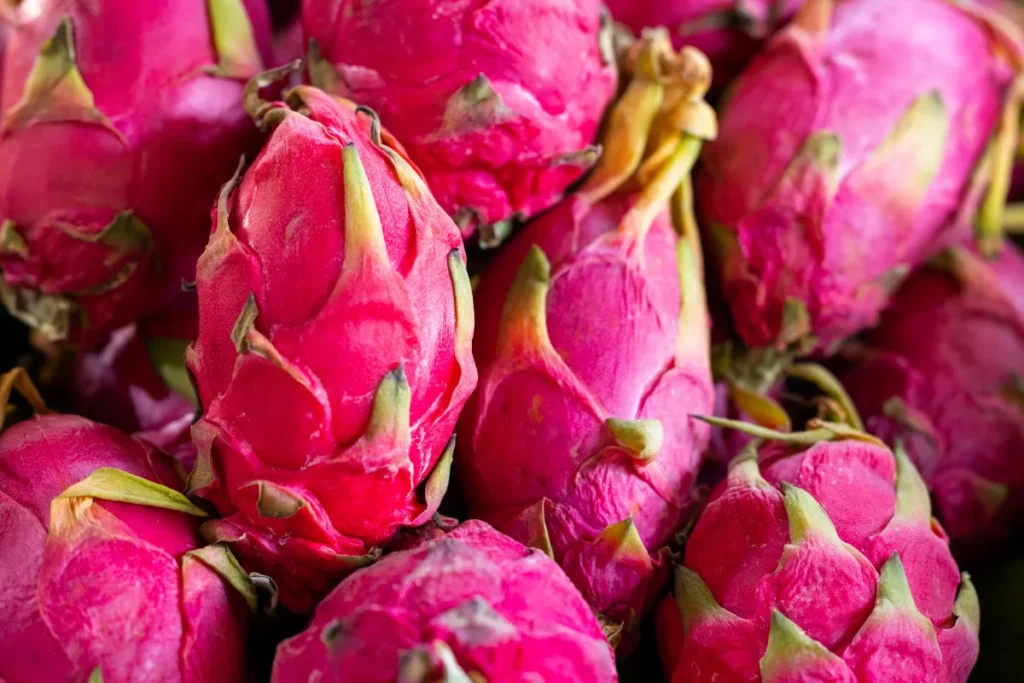 Maravilhosos Benefícios da Pitaya