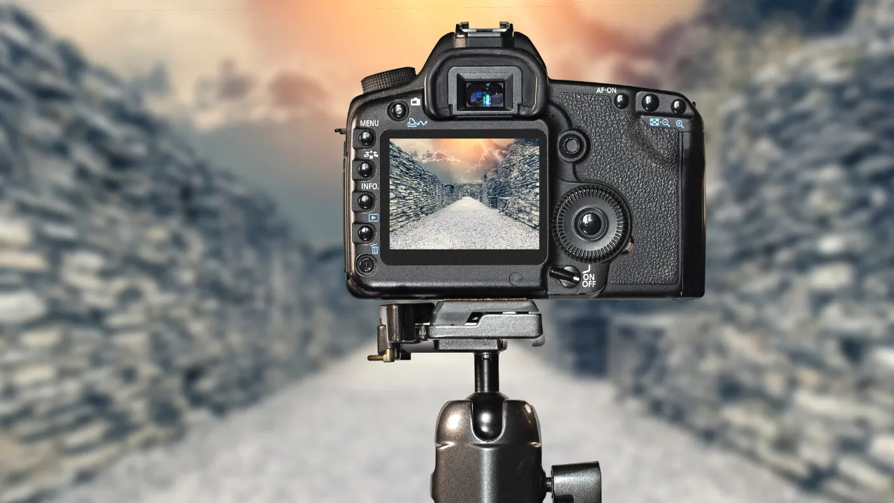 Descubra os Principais Tipos de Fotografia